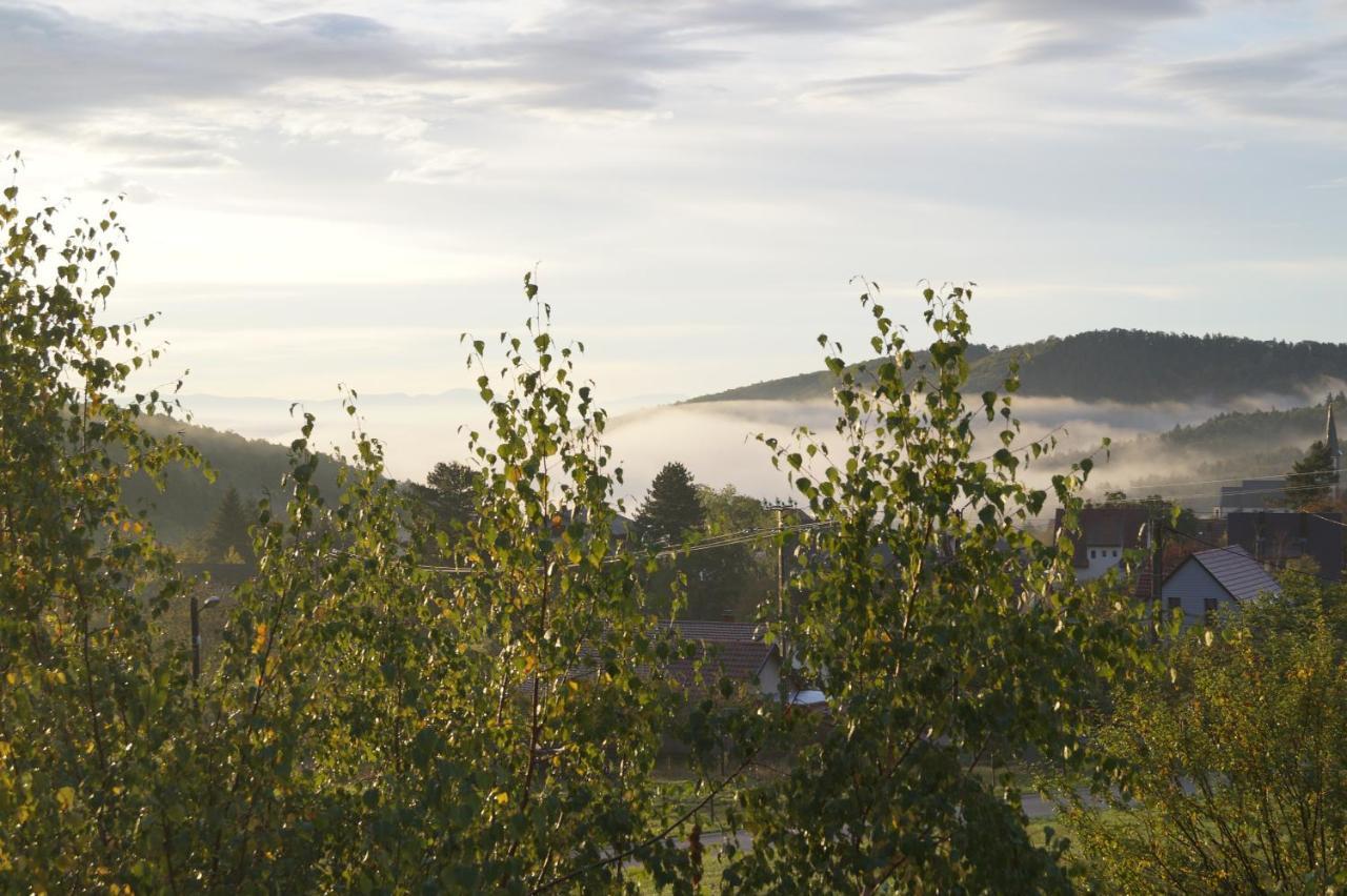 Gites Du Taennchel Thannenkirch Bagian luar foto